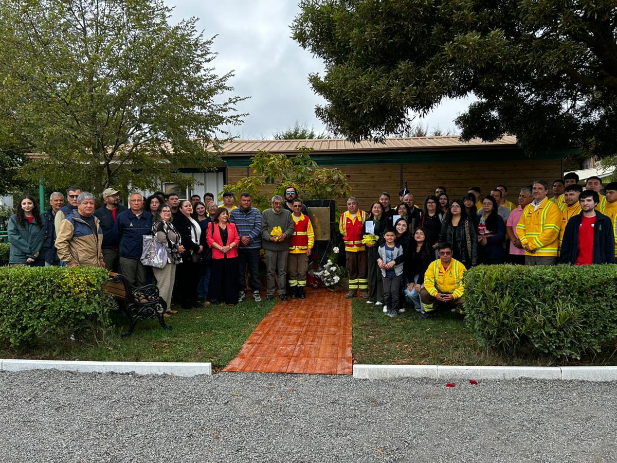 CONAF Biobío tweet media