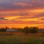 Photo by Farm 2 Veteran (@Farm2Veteran)