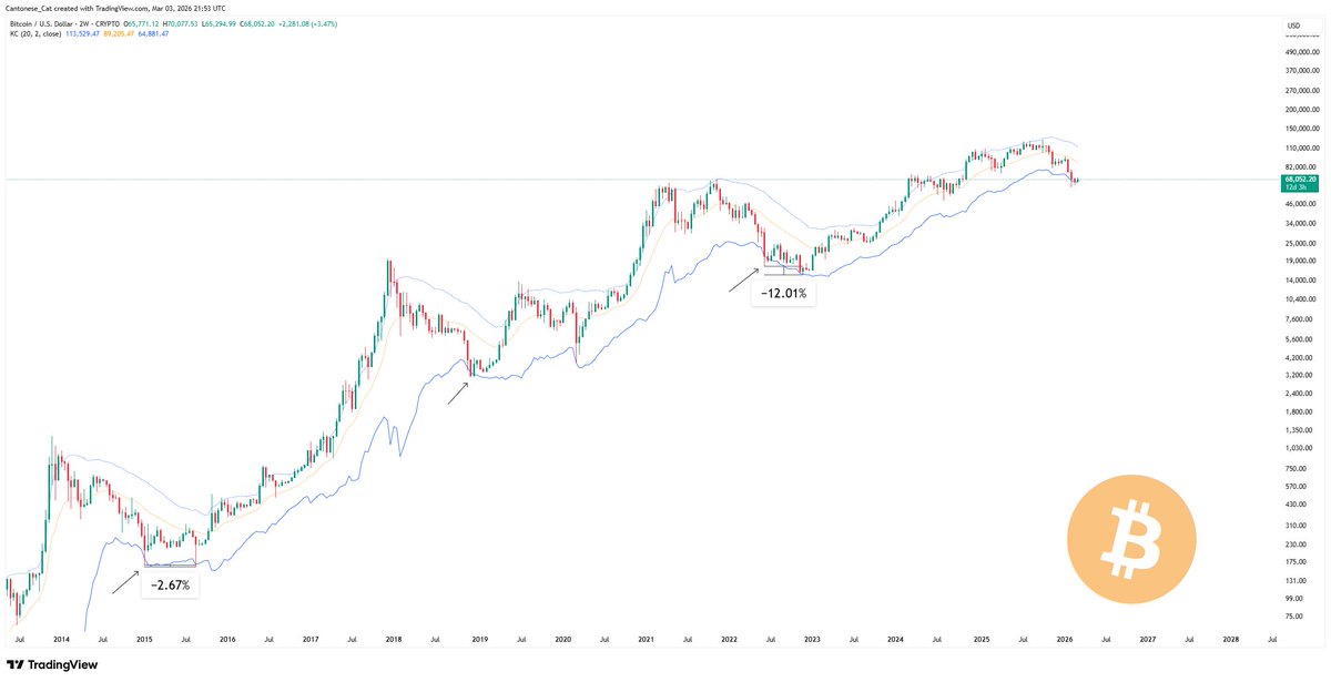 Cantonese Cat 🐱🐈 tweet media