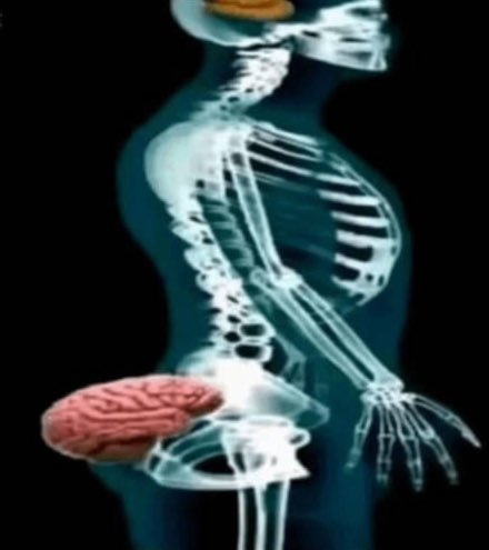 minecraftkaas tweet media