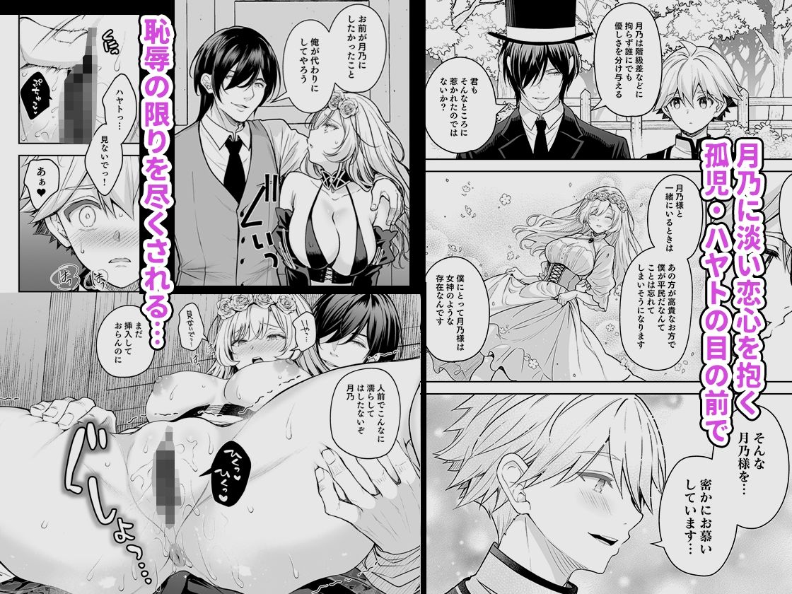 【10%OFF】 隷嬢の小夜曲 第三楽章 