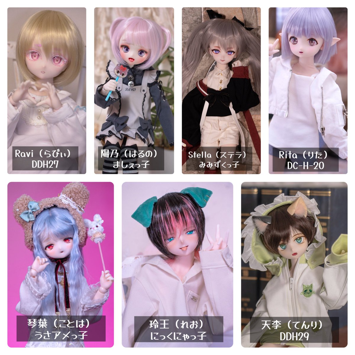 ドールお迎えして5年が経ちました!
こんなに大家族になるなんてびっくり👀

6年目も皆とまったり過ごします꒰՞ ܸ. .ܸ՞꒱
 #ドールオーナーさんと繋がりたい 
 #うちの子かわいい