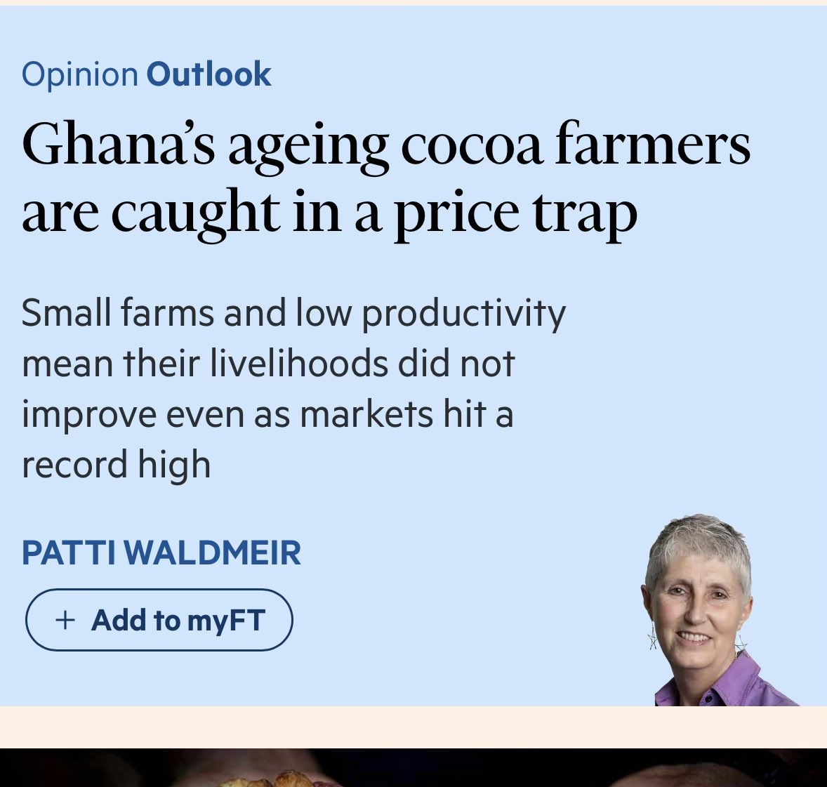 Basil🧡 tweet media