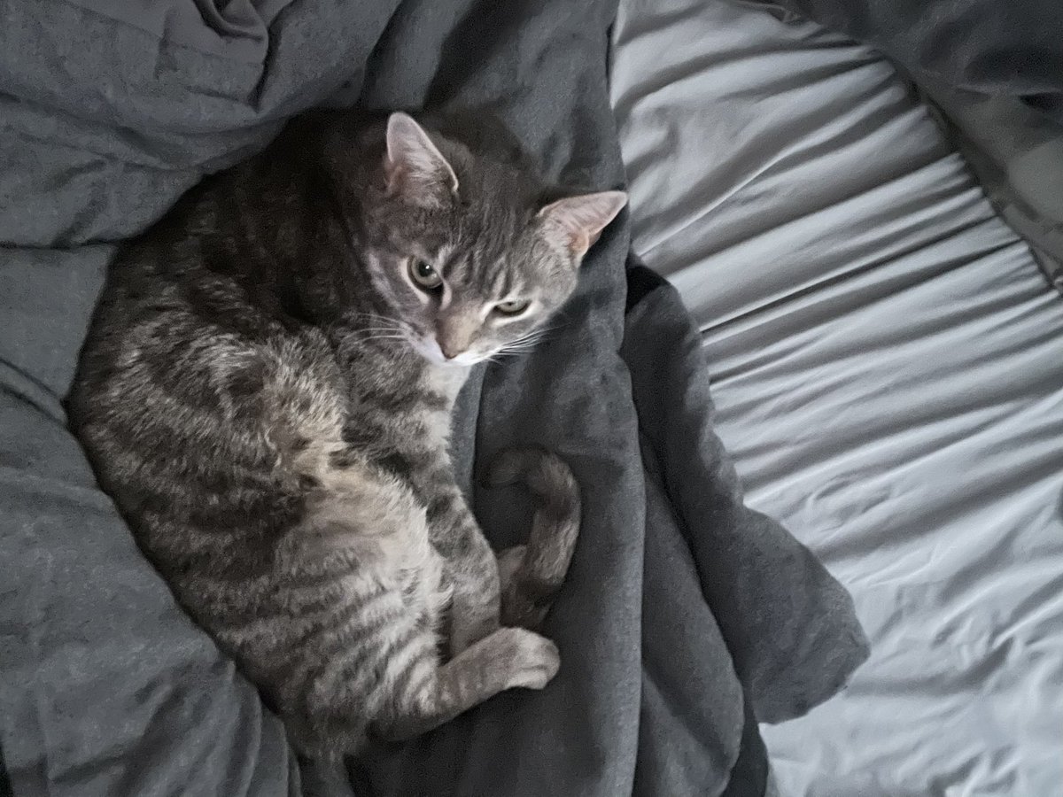 ImMadness tweet media