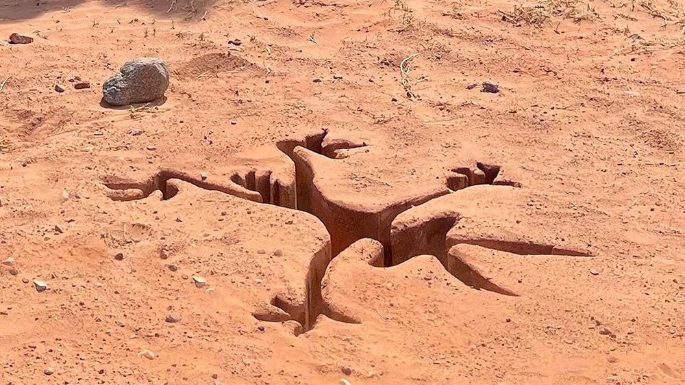 Geek Vibes Nation tweet media