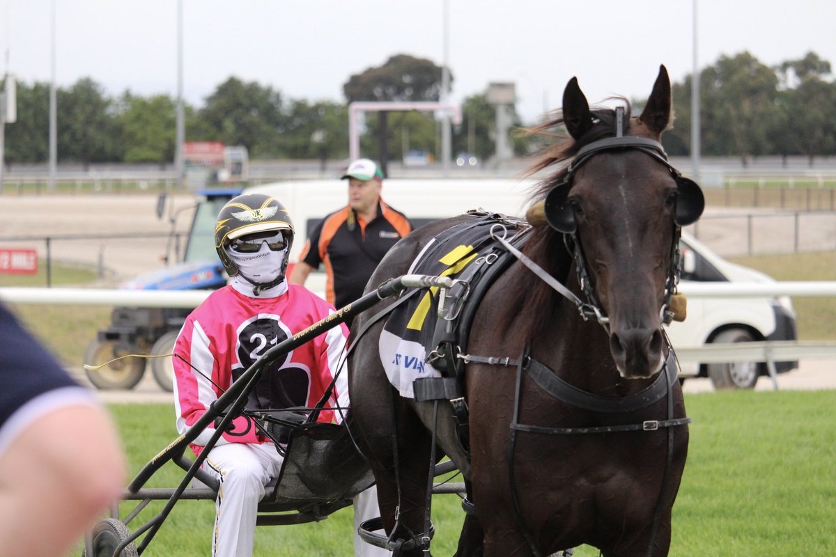 Cranbourne Harness tweet media