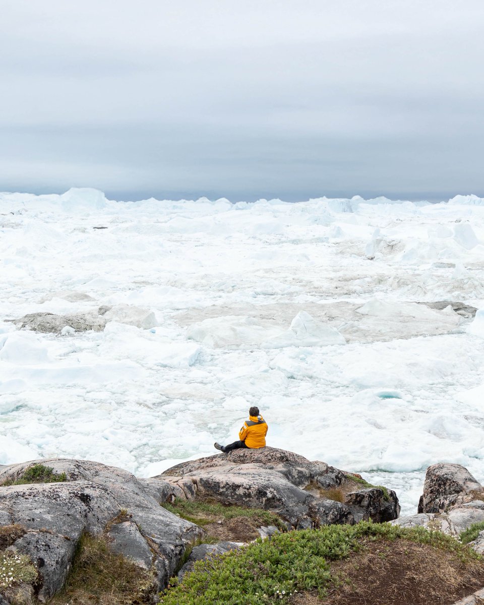 Quark Expeditions tweet media