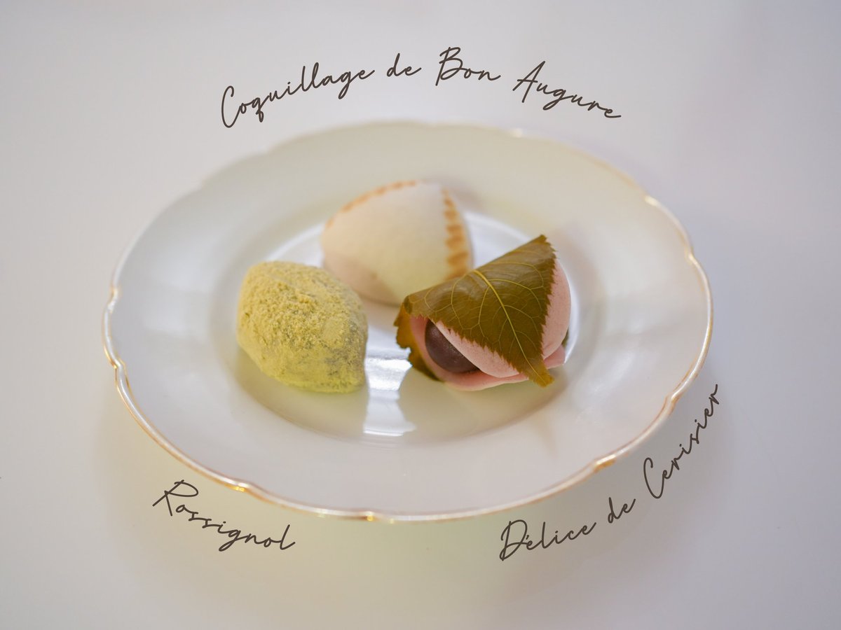 🎎パリでひな祭り チュイルリー庭園のお花を眺めながら、今日は