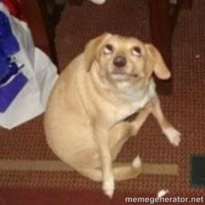 Mapachiño even burger tweet media