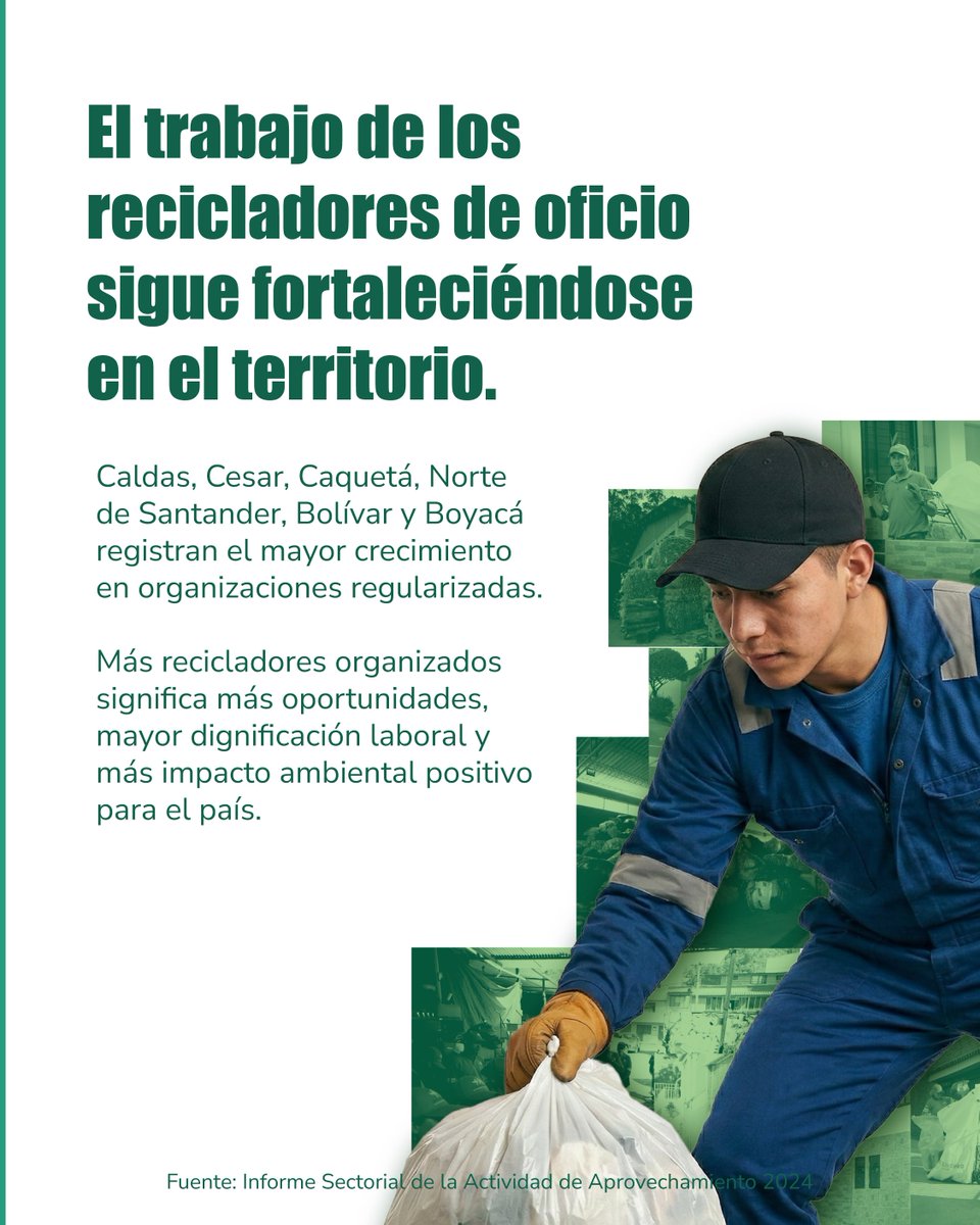 Superservicios's tweet photo. ♻️ Detrás de cada botella, cartón o plástico recuperado hay manos que trabajan con esfuerzo y compromiso.

Los recicladores de oficio son protagonistas de la economía circular en Colombia. Su labor reduce residuos, protege el ambiente y genera sustento digno para miles de familias.

Desde la Superservicios reconocemos y acompañamos su proceso de formalización y fortalecimiento, porque dignificar su trabajo es avanzar hacia un modelo de servicios públicos más justo, sostenible e incluyente.

#RecicladoresDeOficio #EconomíaCircular #BasuraCero #ServiciosPúblicos