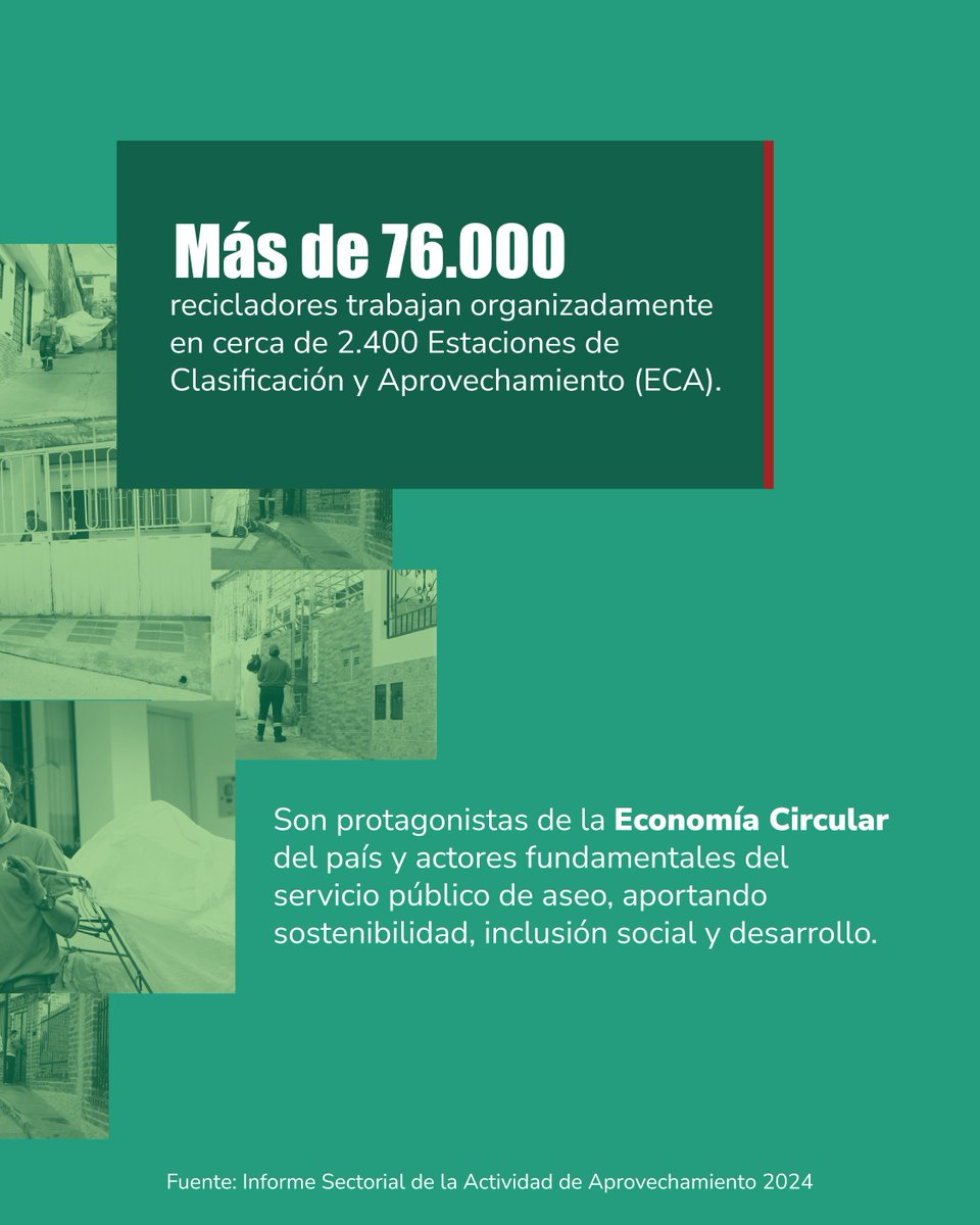 Superservicios's tweet photo. ♻️ Detrás de cada botella, cartón o plástico recuperado hay manos que trabajan con esfuerzo y compromiso.

Los recicladores de oficio son protagonistas de la economía circular en Colombia. Su labor reduce residuos, protege el ambiente y genera sustento digno para miles de familias.

Desde la Superservicios reconocemos y acompañamos su proceso de formalización y fortalecimiento, porque dignificar su trabajo es avanzar hacia un modelo de servicios públicos más justo, sostenible e incluyente.

#RecicladoresDeOficio #EconomíaCircular #BasuraCero #ServiciosPúblicos