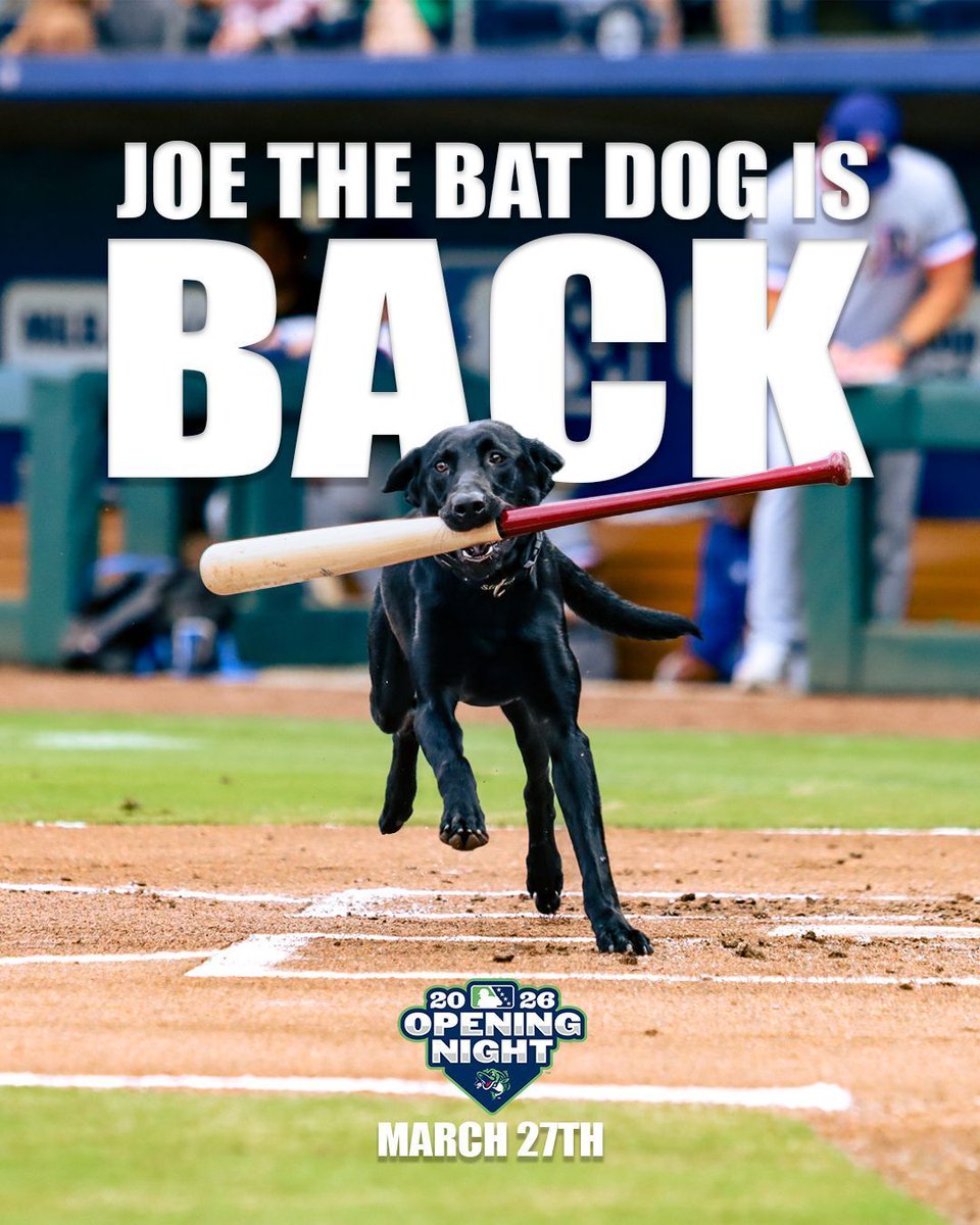 Gwinnett Stripers tweet media