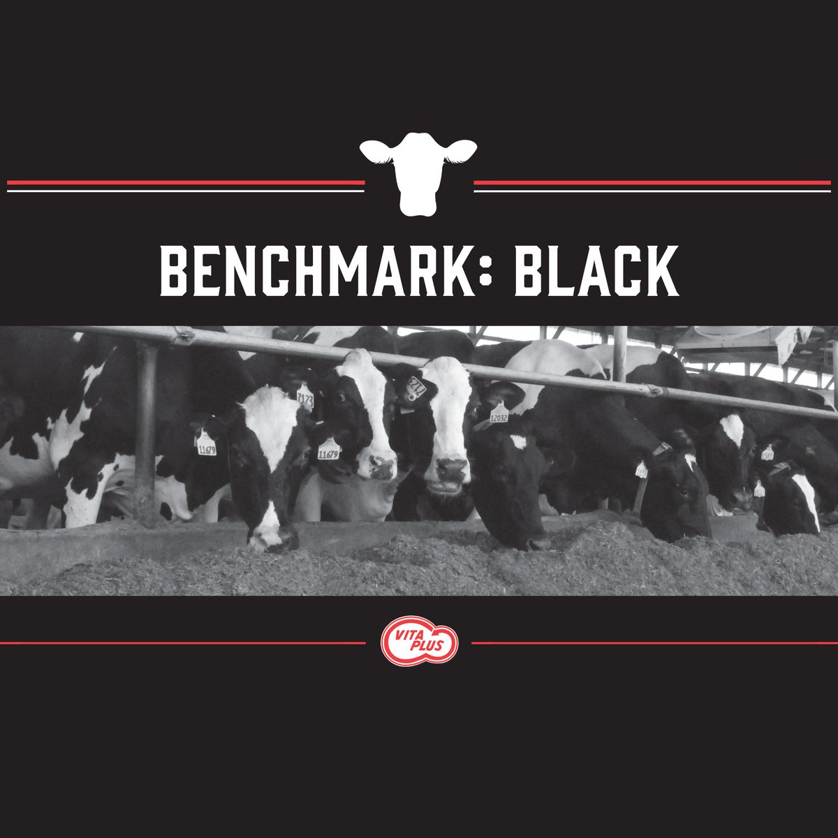 Vita Plus tweet media