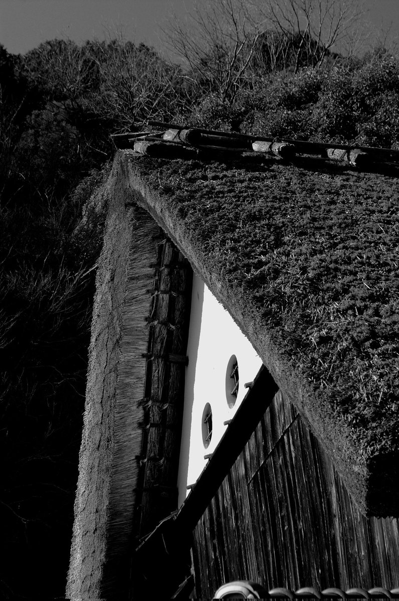 嵐山散歩_4949。 #kyoto #arashiyama