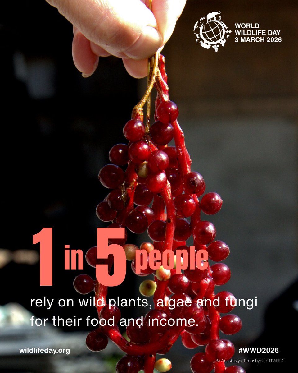 Gateway Research Org tweet media