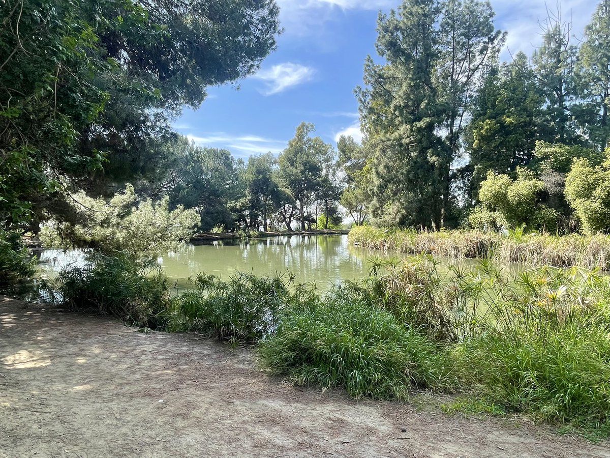 Let me reiterate my undying allegiance to the city of Los Angeles