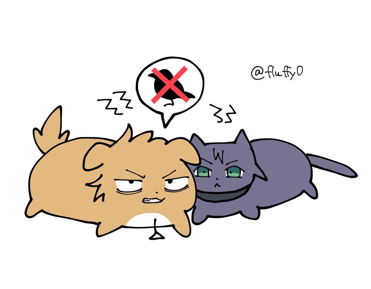 でんじーぬとにゃんこれぜ16