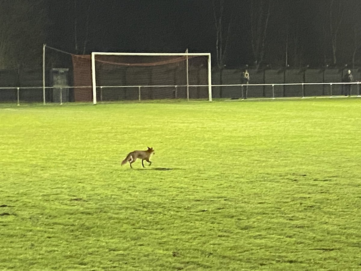 Ade Brandwood tweet media