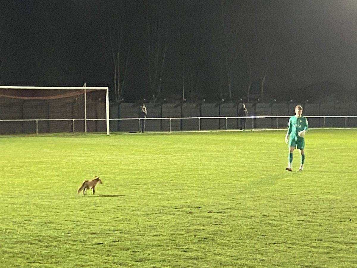 Ade Brandwood tweet media