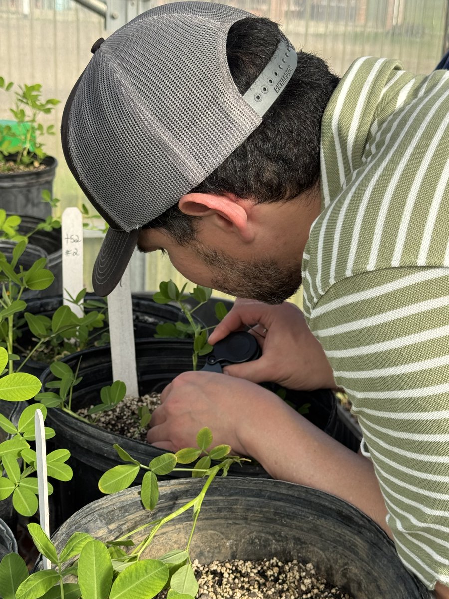 José Dubeux tweet media