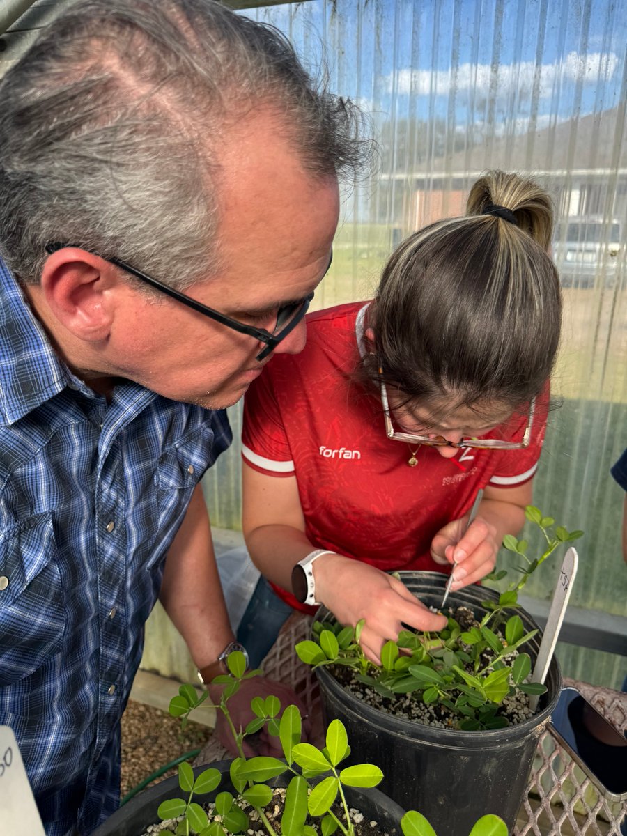 José Dubeux tweet media