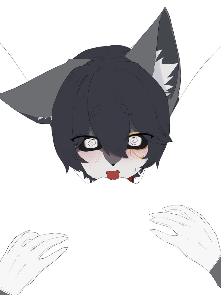 canine💤 休日 tweet media