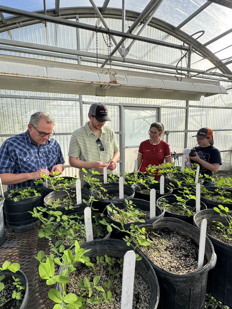 José Dubeux tweet media