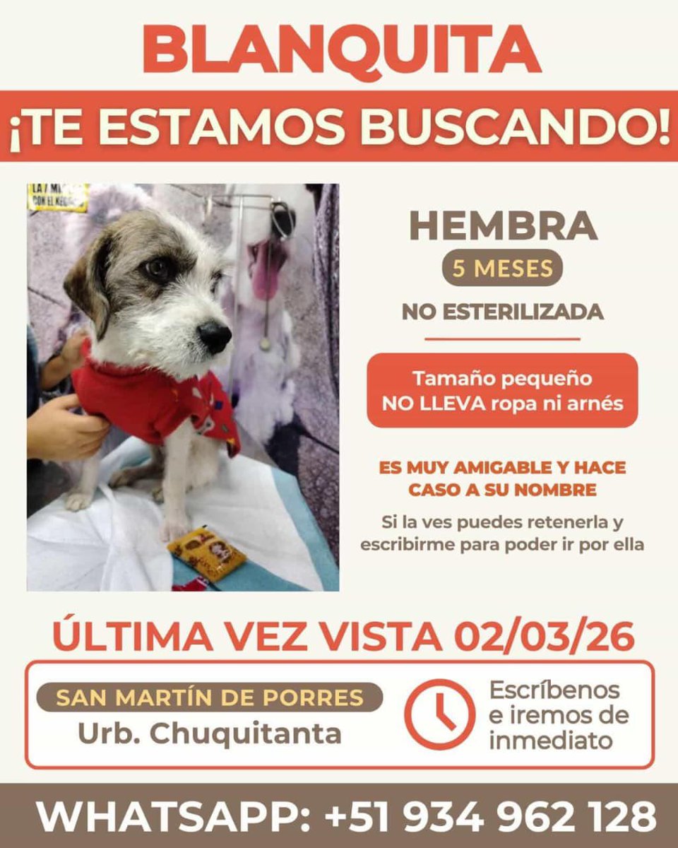 COMPARTE 
Por favor 🙏🏽 son perritos de <a href="/_arlettesalazar/">Arl Rescate | Arlette Jaquelyn Salazar 🇵🇪</a> le ha pasado algo muy horrible solo falta encontrar a esos perritos por favor si puedes comparte en tus redes en Ig Face ayúdanos por favor <a href="/AdrianzenEduard/">Eduardo Adrianzén</a> <a href="/TatianaAstengoB/">Tatiana Astengo</a> <a href="/danegamez/">Dane Gámez</a> <a href="/Paola310/">Paola Pejoves</a>