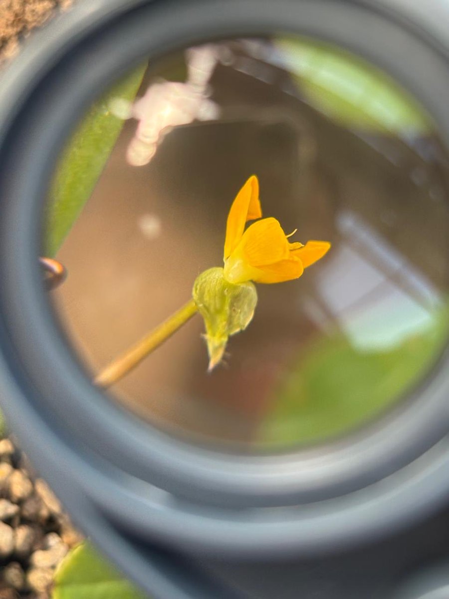 José Dubeux tweet media