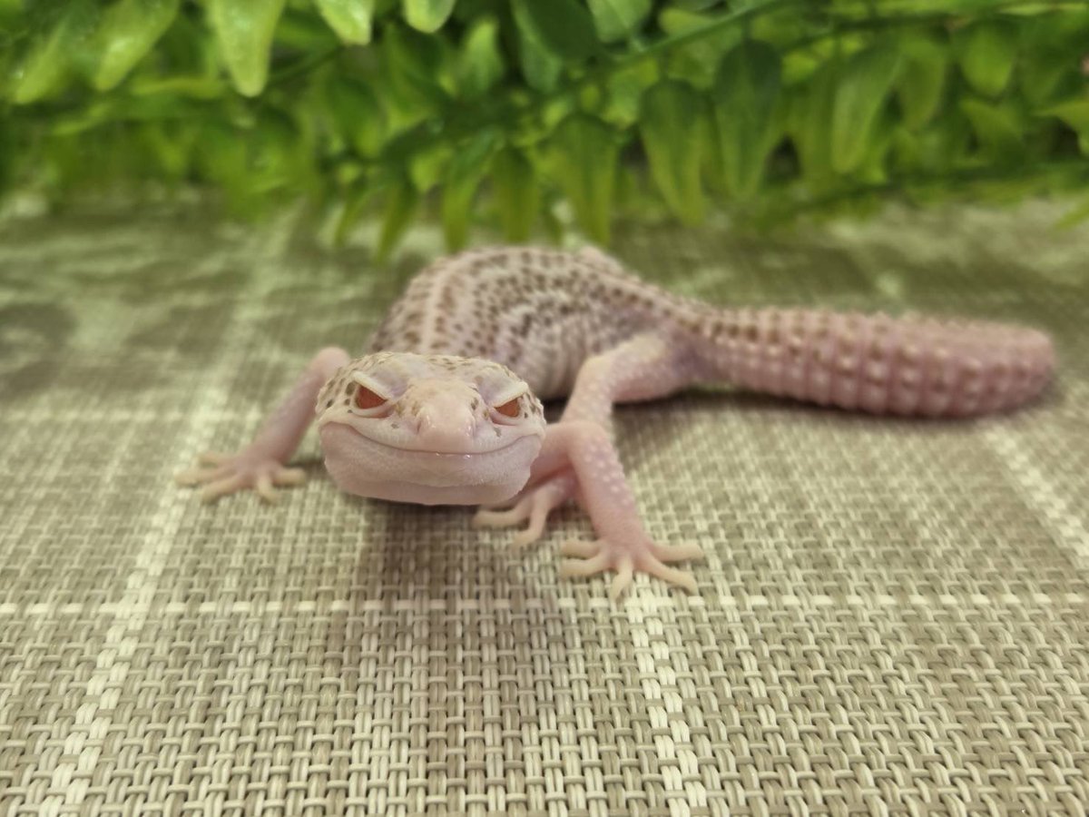 JHスタッフ tweet media