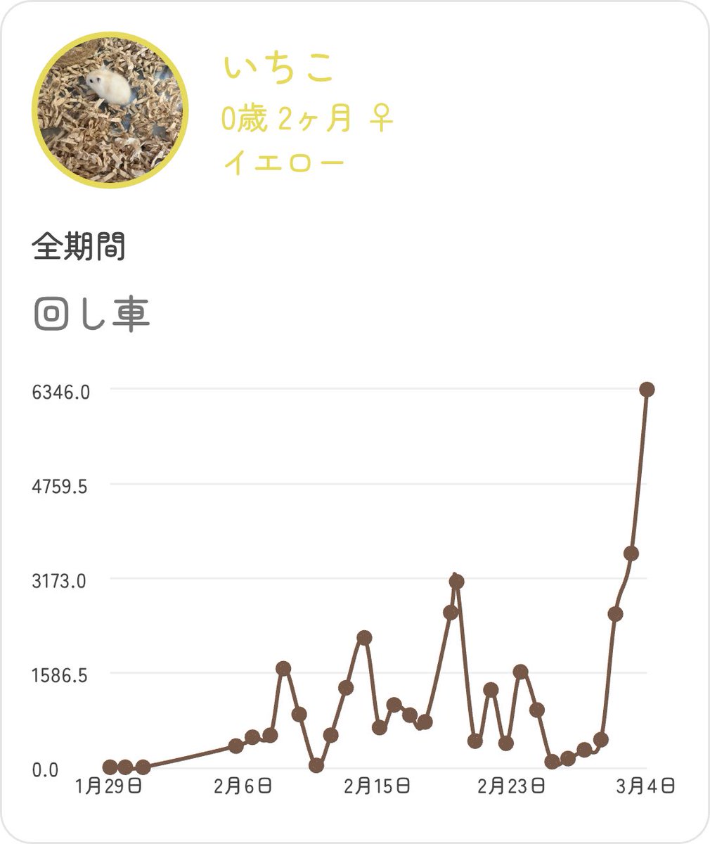 いなりん tweet media