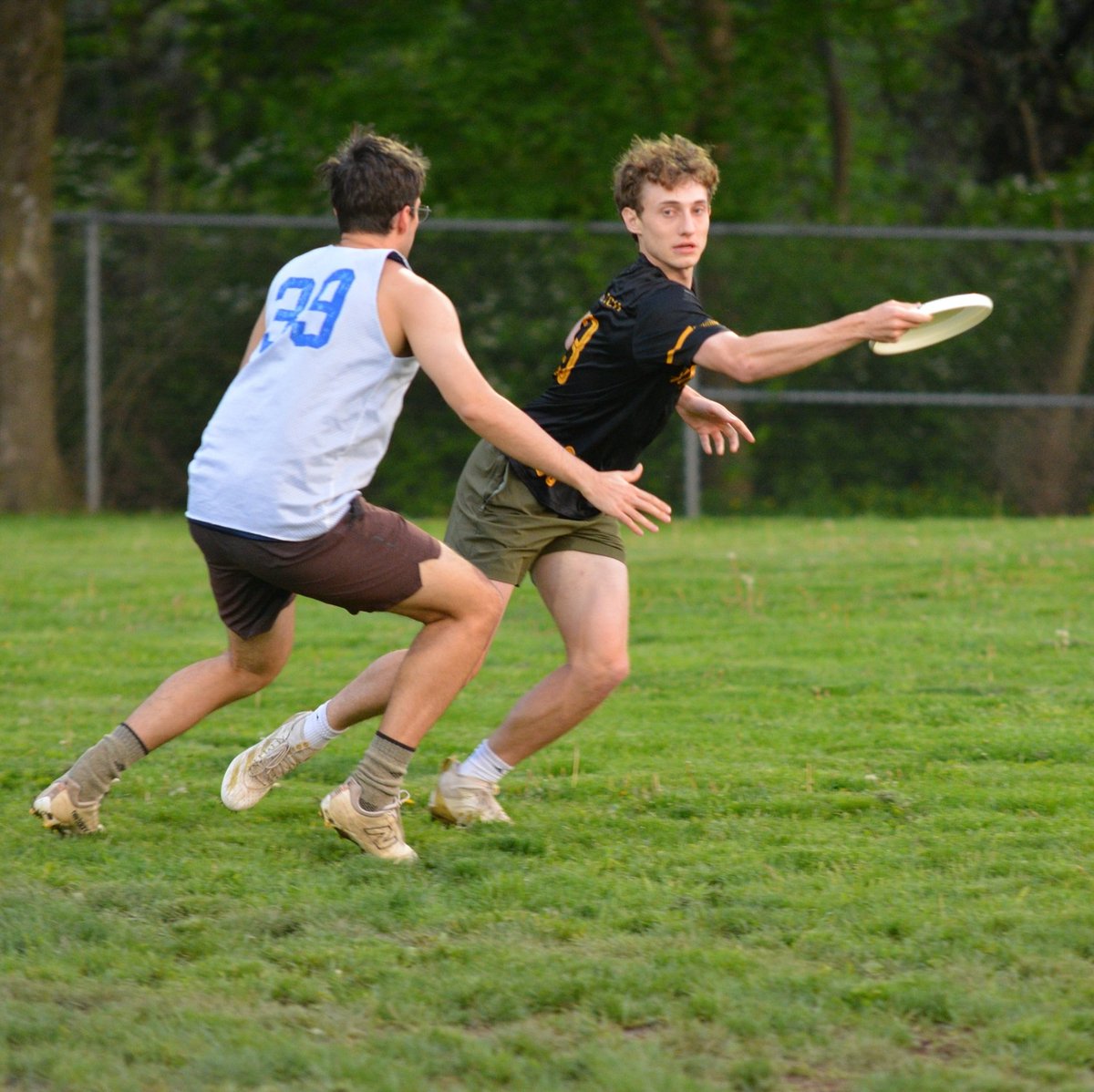 Pittsburgh Ultimate tweet media