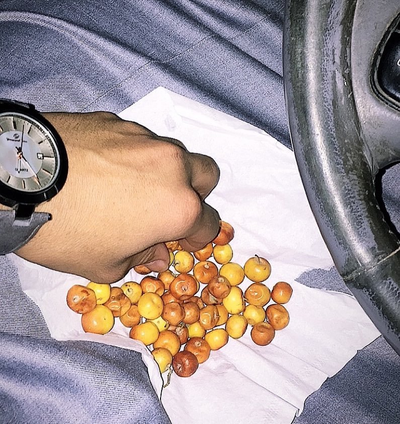 ريوف tweet media