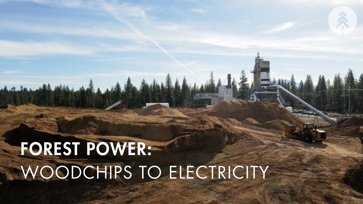 Forest thinning projects near Burney, CA are now powering the community. The Hat Creek Bioenergy Facility converts forest biomass into electricity for the local grid while supporting wildfire mitigation efforts: bit.ly/tf-woodchip-el… <a href="/CAL_FIRE/">CAL FIRE</a> <a href="/forestservice/">USDA Forest Service</a>