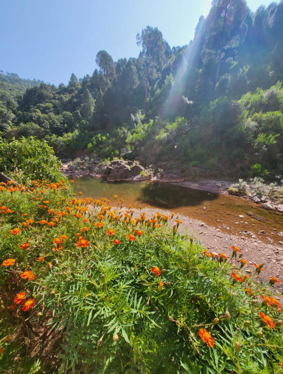 Mir Mohammad Alikhan tweet media