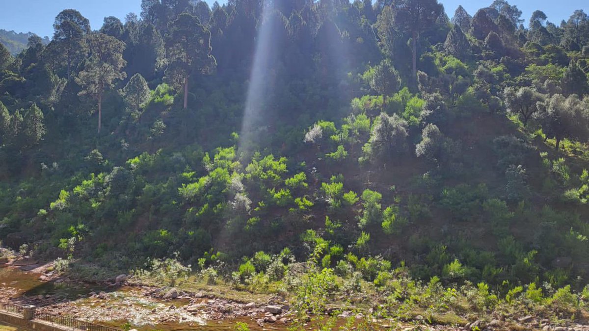 Mir Mohammad Alikhan tweet media