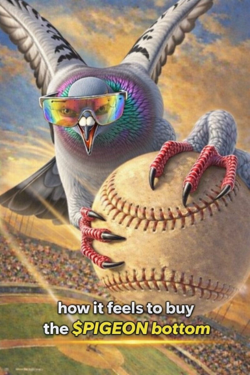 Bottom in

Target  941M

No chart

Pure conviction only

Pigeon