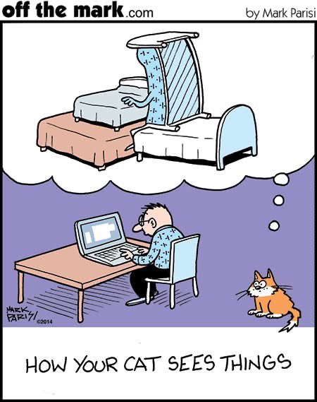 Mark Parisi 🦀 tweet media