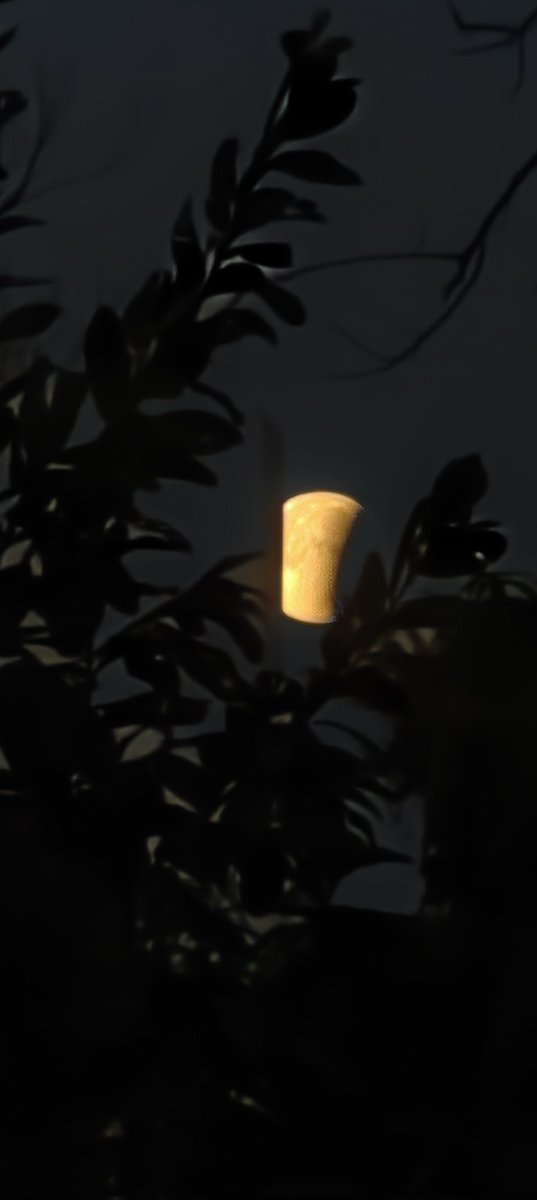 Liz ♡🇲🇽 tweet media