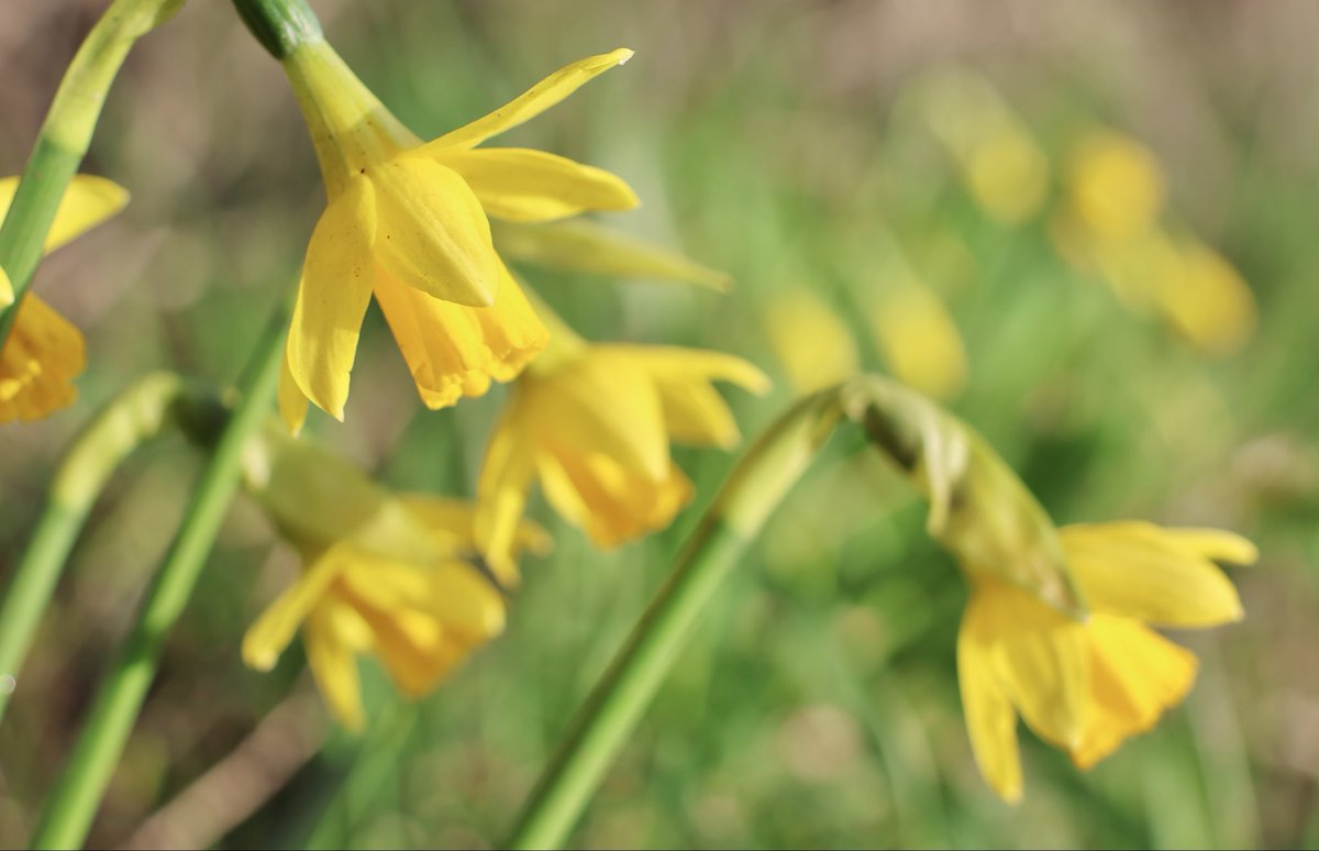 Edel Mairs tweet media