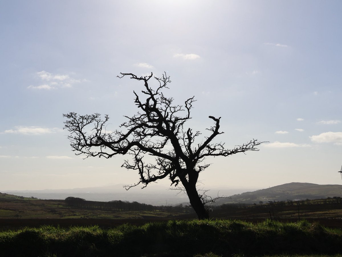 Edel Mairs tweet media