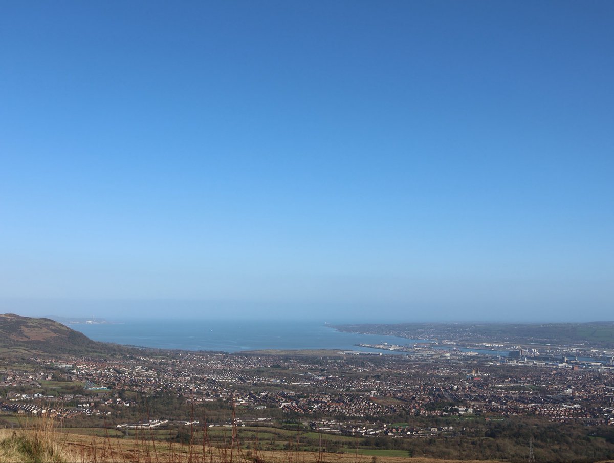 Edel Mairs tweet media