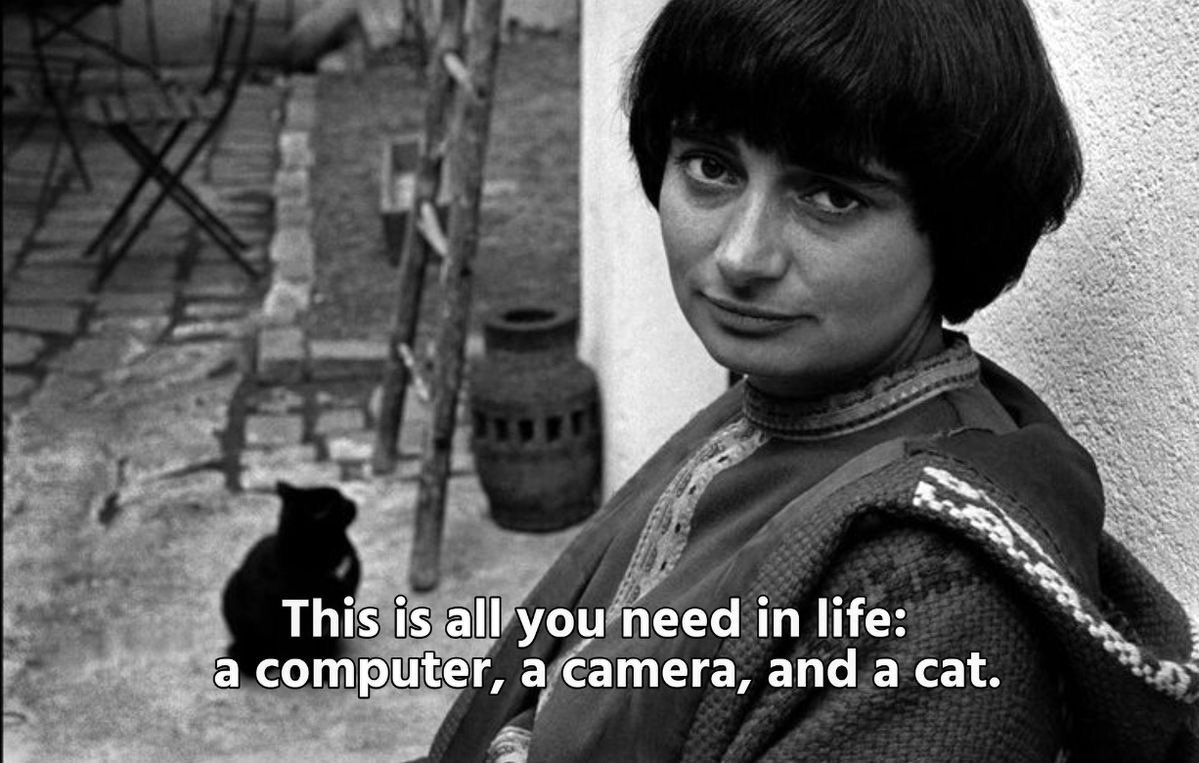 Alquimia (@replicante97) on Twitter photo 