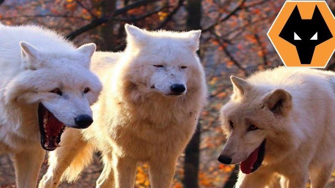 ET Heisenberg tweet media