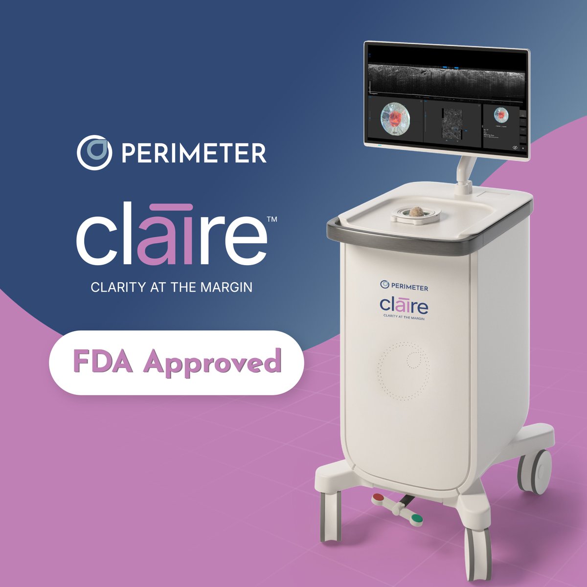 Perimeter Medical Imaging AI tweet media