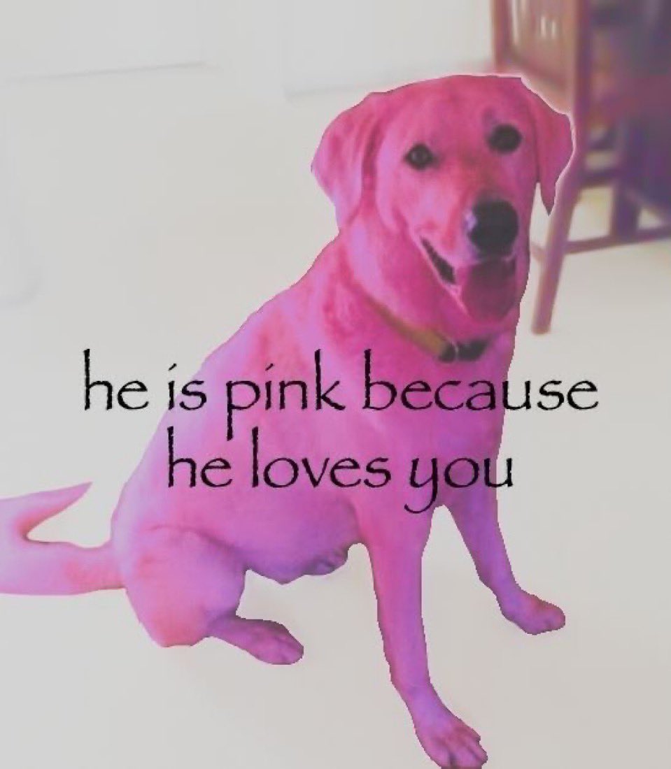 ☁️ Somie ૮ • ﻌ - აᯓ★ tweet media