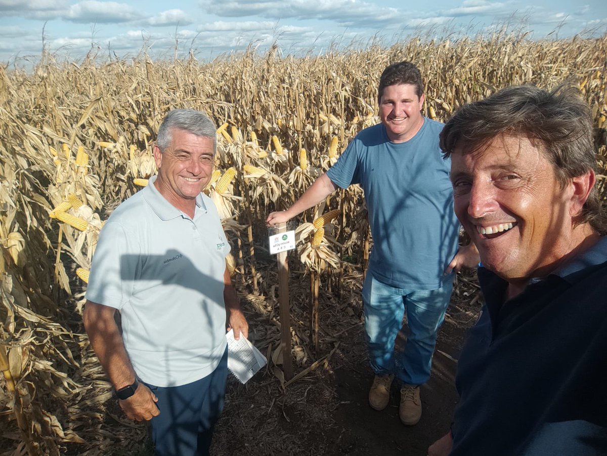 Edu Farías tweet media