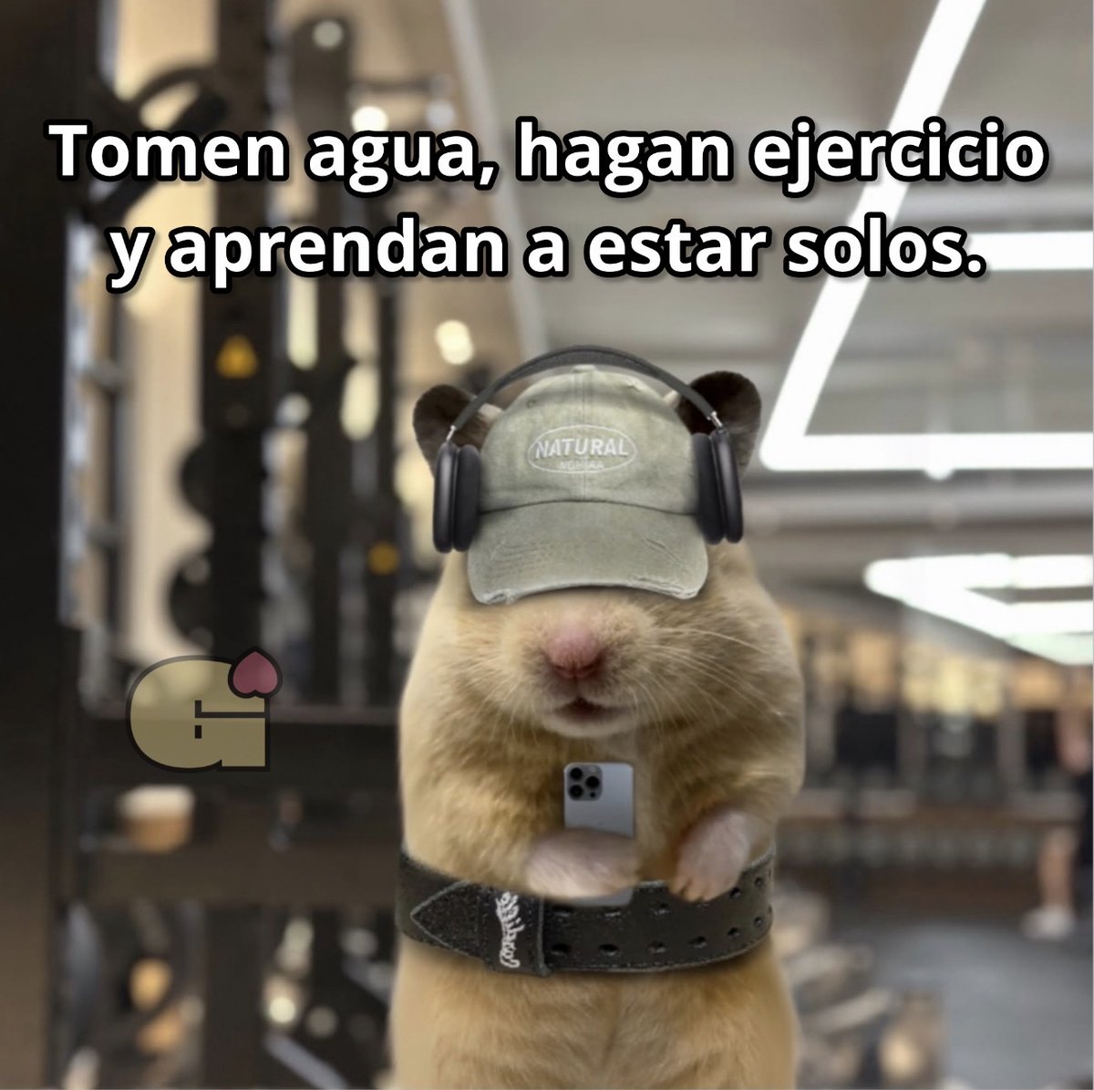 Guarromantico_'s tweet photo. Lo demás se acomoda. https://t.co/nxz6kPYkPk