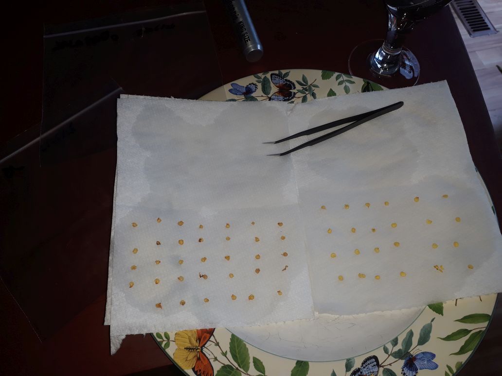 Brad Smith tweet media