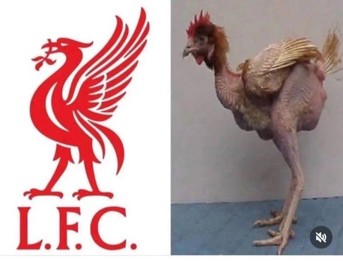 Footy Humour tweet media